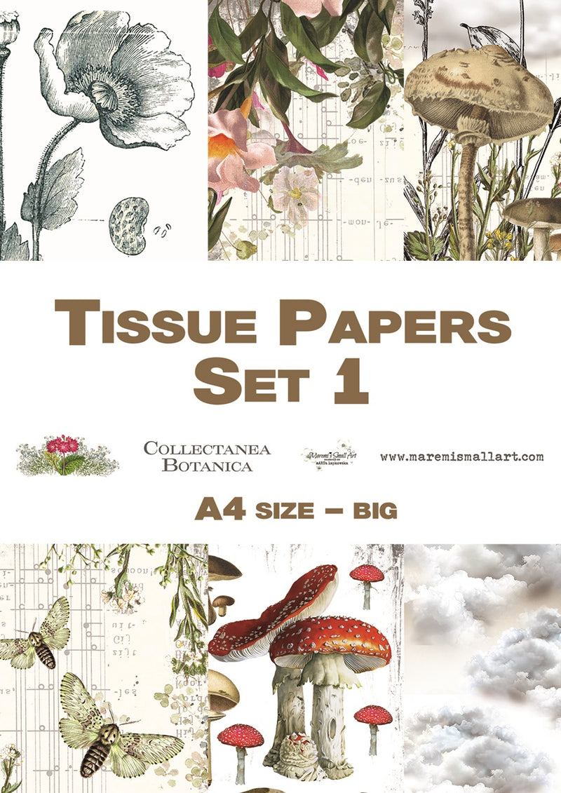 A4 set 2 'Collectanea Botanica' Maremi's Tissue Papers